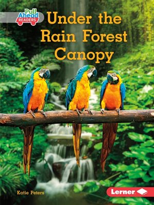 cover image of Under the Rain Forest Canopy